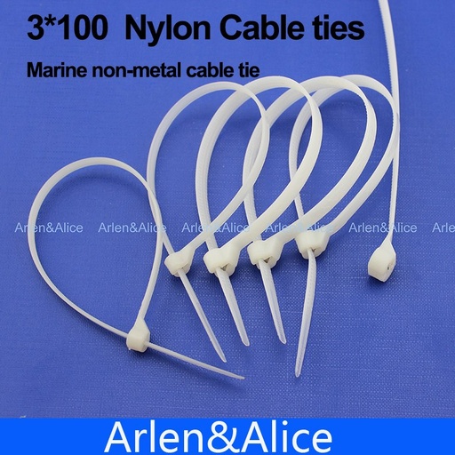 [1754700667-HK] 200pcs 3毫米*100mm尼龍電纜綁帶不銹鋼板鎖著船船，船隻非金屬