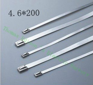 [2024725799-HK] 高質量100pcs 4.6mmx200mm自鎖不銹鋼拉鍊拉鍊拉鍊領帶包裹