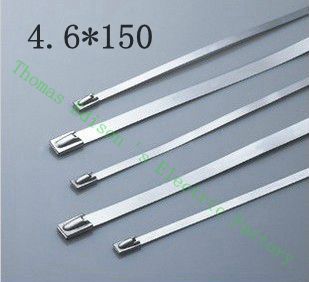 [2024726726-HK] 高質量100pcs 4.6mmx150mm自鎖不銹鋼拉鍊電纜領帶鎖定包裹