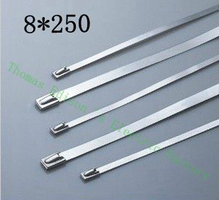 [2024740618-HK] 高質量100pcs 8mmx250mm自鎖不銹鋼拉鍊拉鍊拉鍊領帶包裹