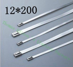 [2024783003-HK] 高質量100pcs 12mmx200mm自鎖不銹鋼拉鍊拉鍊拉鍊領帶包裹