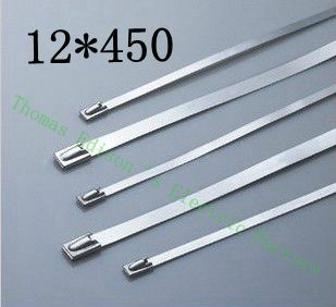 [2024783107-HK] 高質量100pcs 12mmx450mm自鎖不銹鋼拉鍊拉鍊拉鍊領帶包裹