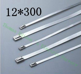 [2024787672-HK] 高質量100pcs 12mmx300mm自鎖不銹鋼拉鍊拉鍊拉鍊領帶包裹