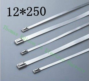 [2024799349-HK] 高質量100pcs 12mmx250mm自鎖自鎖不銹鋼拉鍊拉鍊拉鍊領帶包裹