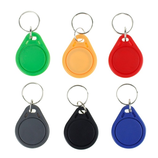 [32819548164-HK] 100pcs 13.56MHz RFID鑰匙串密鑰FOB MF MF 1K IC NFC KEYFOBS接近智能門AC的鑰匙標籤卡
