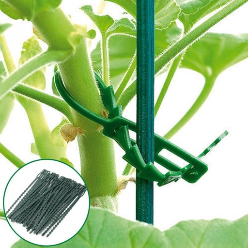 [32873452276-HK] 50pcs/袋50X可重複使用的花園塑料植物電纜紮帶可調式樹木支撐花園