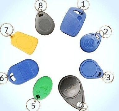 [DJ125RWKEYRING-Tw-HK] 如圖說明標籤低頻高頻超高頻RFID電子ABS匙扣卡專業廠家直銷(100入)
