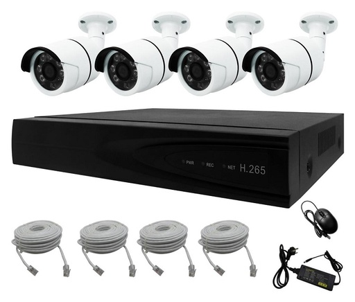 [SNH04P-20EAB30-HK] NVR Kit 4 CH for CCTV Security PoE IP Network